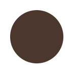 dark-brown-color-swatch